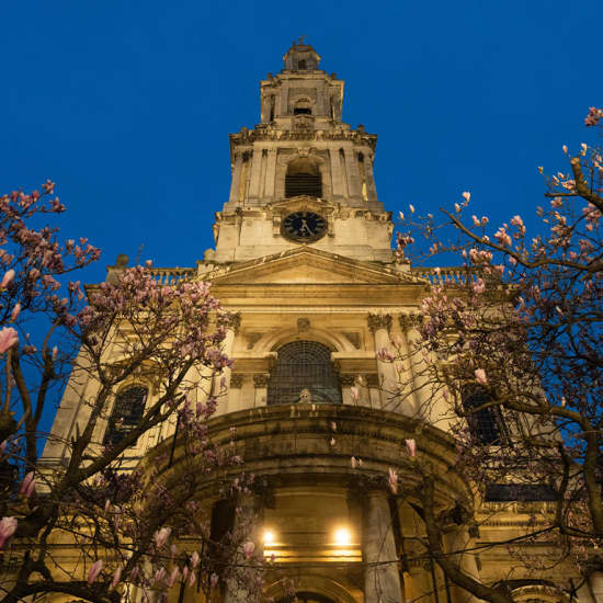 ﻿Cantante de Ópera a la Luz de las Velas (Candlelight)