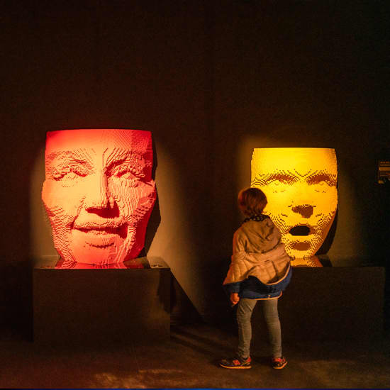 The Art of the Brick : Exposition d'art en LEGO® - Carte-cadeau