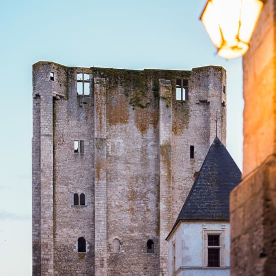 La découverte du Castrum de Beaugency