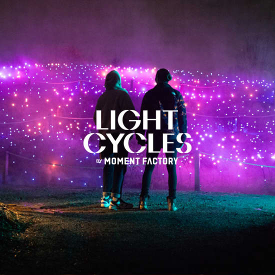 Light Cycles: An Immersive Night Walk