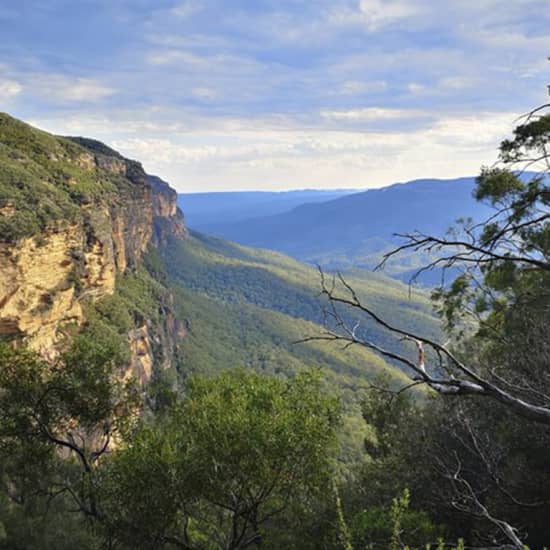 Sunset Blue Mountains Wilderness & Wildlife Tour (Without the Crowds)
