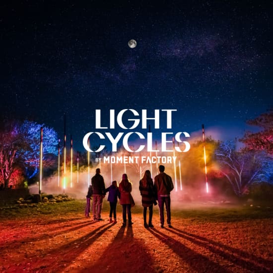 Light Cycles: A glowing night walk through nature, light, and sound