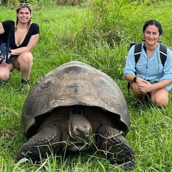Private Tour Sighting Giant Tortoises and Lava Tunnels