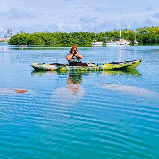 Manatee Photo Safari: Miami Kayak & Paddleboard Tour