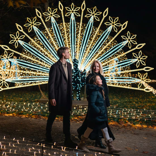Imperial Lights 2026