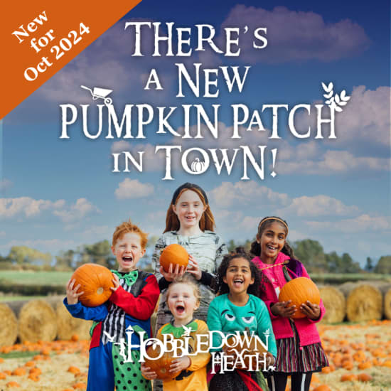 Pumpkin Patch At Hobbledown