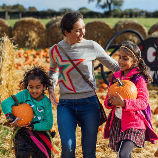 Pumpkin Patch At Hobbledown West London — event image