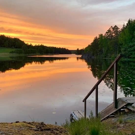 Kvällsvandring i Tyresta nationalpark