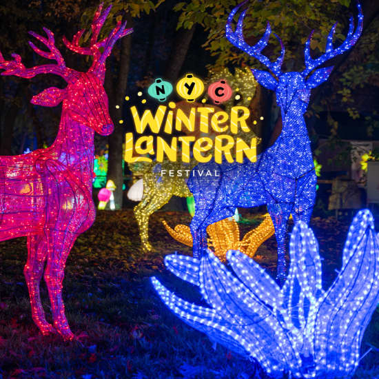 Winter Lantern Festival - Queens, NY