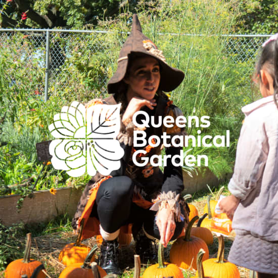 Pumpkin Patch at Queens Botanical Garden