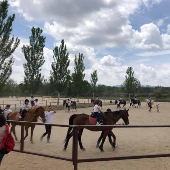 Experiencia a caballo: clases en plena naturaleza