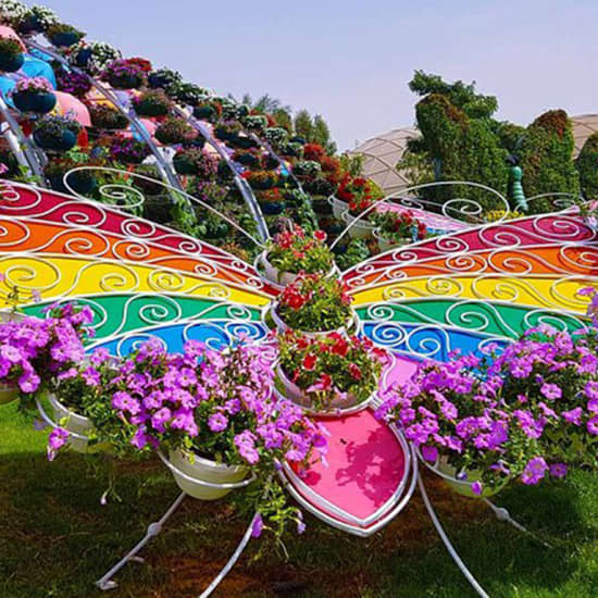 Dubai Butterfly Garden: Skip The Line