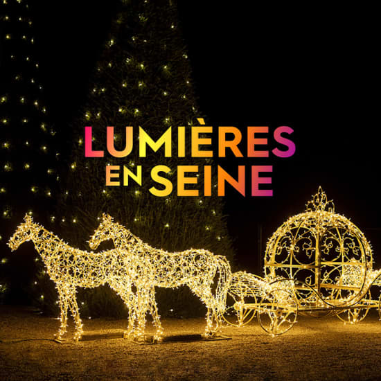 Lumières en Seine : le parcours illuminé et musical des fêtes de fin d’année- Carte-Cadeau