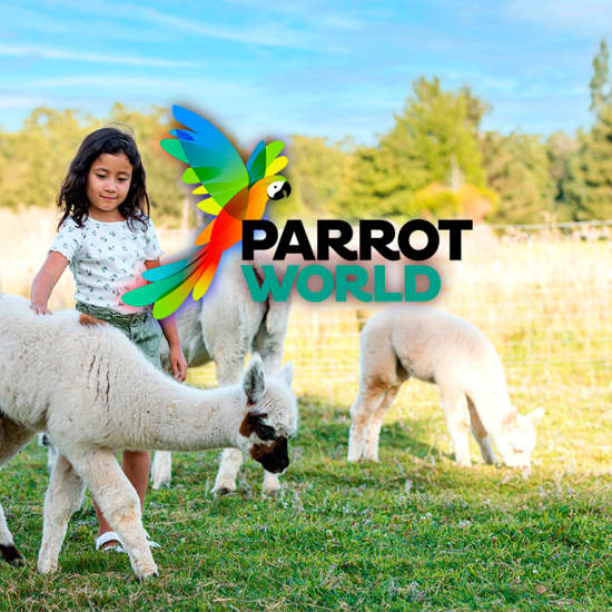 Parrot World : billets pour les expériences immersives