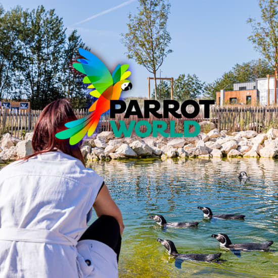 Parrot World : billets pour les expériences immersives