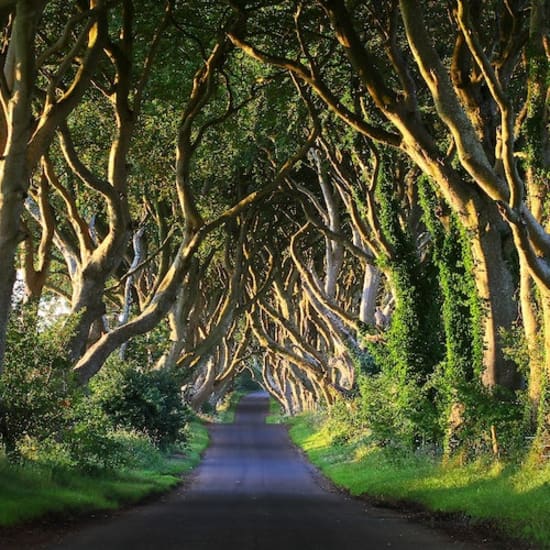 Giant’s Causeway & Northern Ireland Highlights: Roundtrip from Dublin