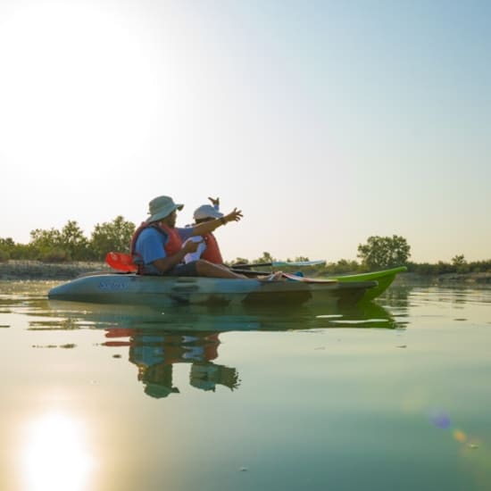 Guided Kayak Tour in the Mangroves at Sea Hawk Water Sports & Adventures - Eastern Mangroves, Abu Dhabi, United Arab Emirates
