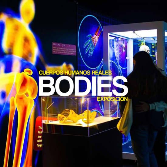 Exposición Bodies en Madrid