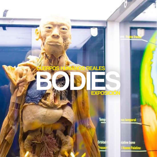 Exposición Bodies en Madrid