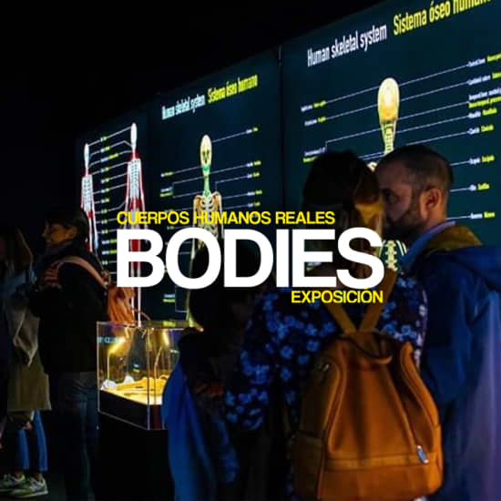 Exposición Bodies en Madrid