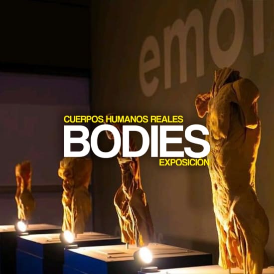 Exposición Bodies en Madrid