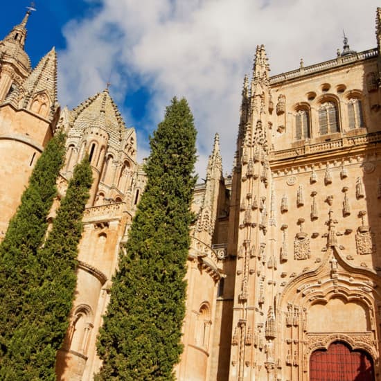 Tour por Ávila y Salamanca