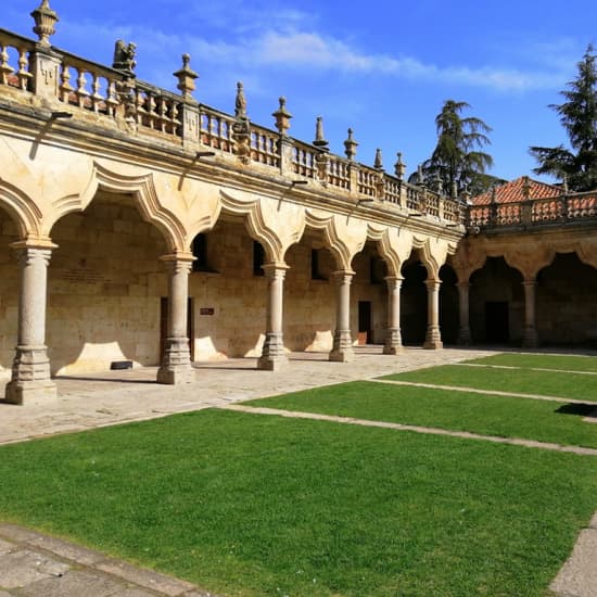 Tour por Ávila y Salamanca