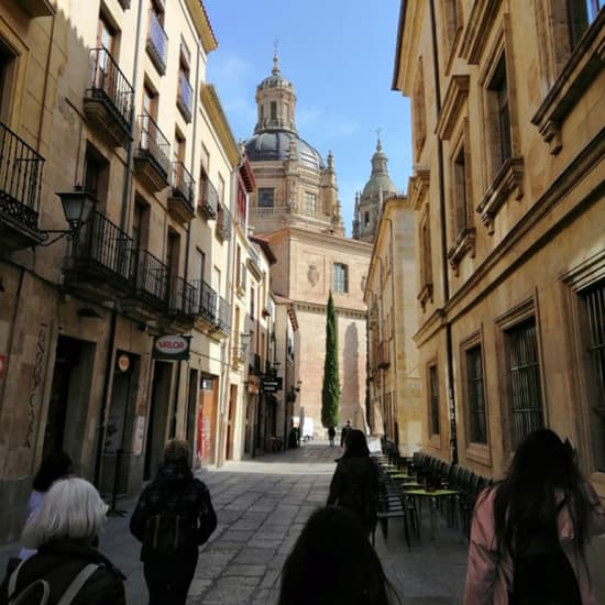 Tour por Ávila y Salamanca