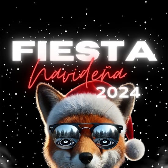 Fiesta de Nochebuena en Madrid - Reservado para 5 personas