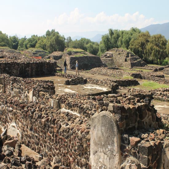 Recorrido por Teotihuacán y Basílica de Guadalupe