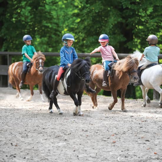 Anniversaire parmi les poneys