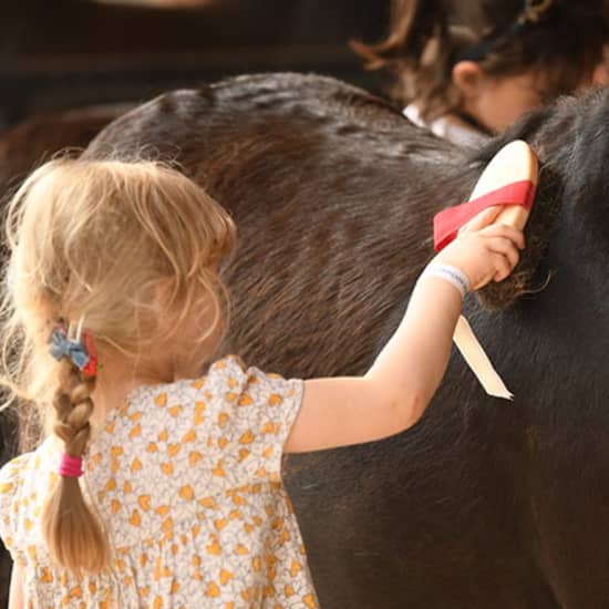 Anniversaire parmi les poneys