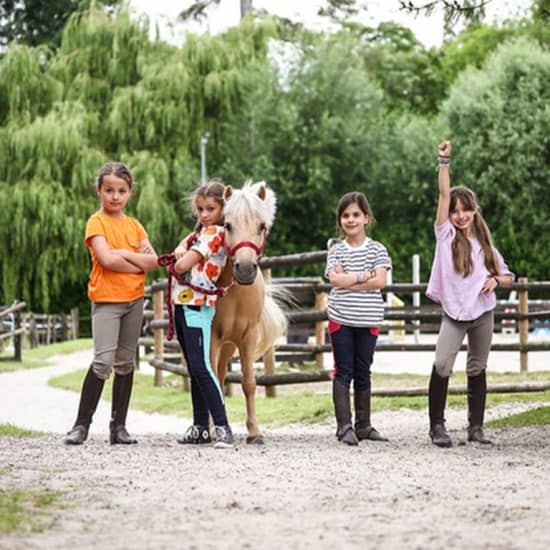 Anniversaire parmi les poneys