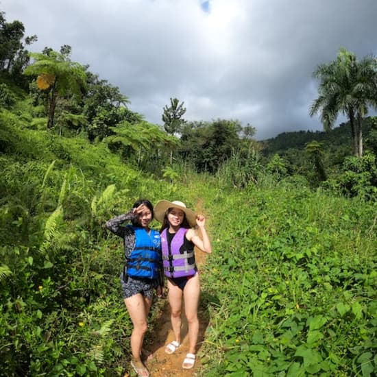 Tour Bosque Nacional El Yunque