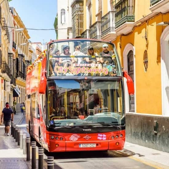 Sevilla: CitySightseeing Autobús Hop-on Hop-off, Museo del Flamenco + Alquiler de Bicicletas