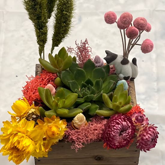 Succulent Treasure Box Workshop