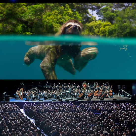 Planet Earth II: Live in Concert