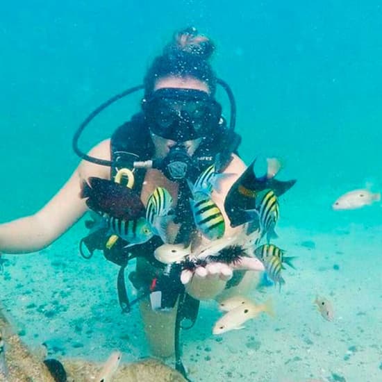 Discover Scuba Diving in Dubai