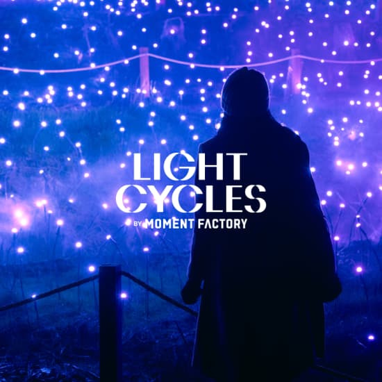 Light Cycles: A glowing night walk though nature, light, and sound