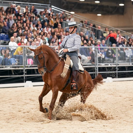 Doma Vaquera - Ifema Madrid Horse Week 2024