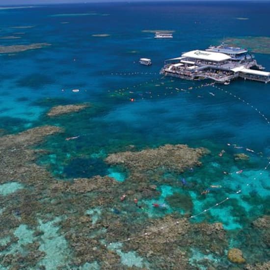 Quicksilver Great Barrier Reef Snorkel Cruise from Port Douglas