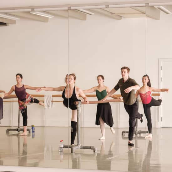 Beginners Ballet: Learn a Famous Variation
