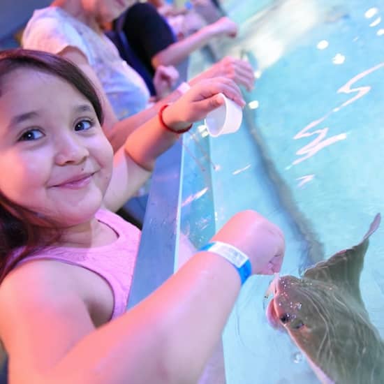 SeaQuest Woodbridge New York Tickets Fever