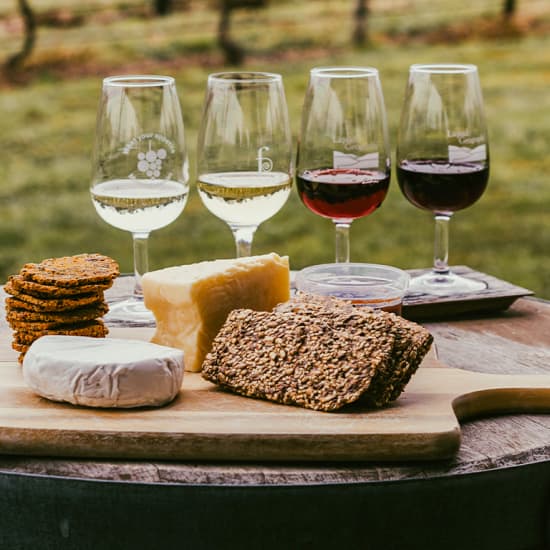 Wine & Cheese – A Fermentation Love Story: Christmas Edition