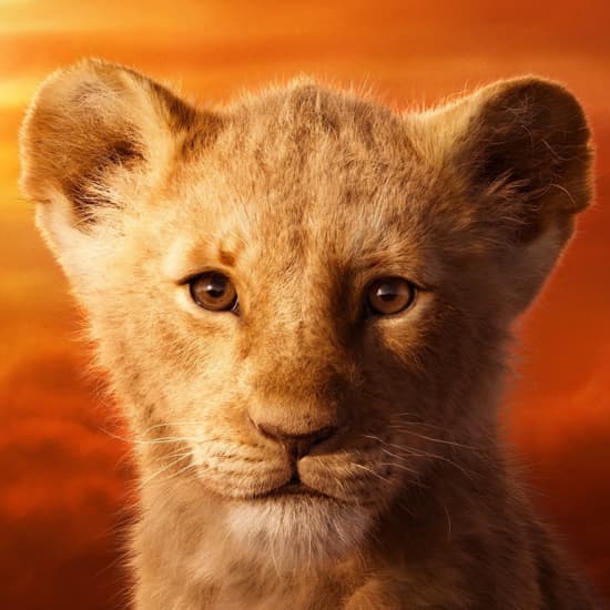 The Lion King at ODEON (Outside M25)