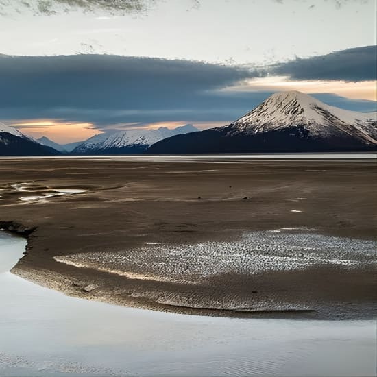 Turnagain Arm Tour