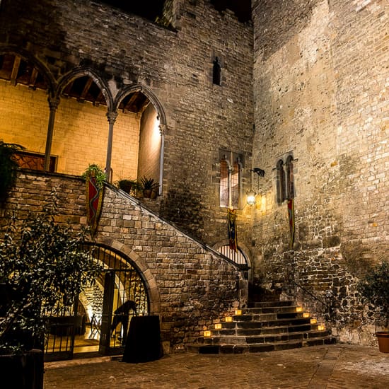 Cena, espectáculo medieval y visita al Palacio Requesens
