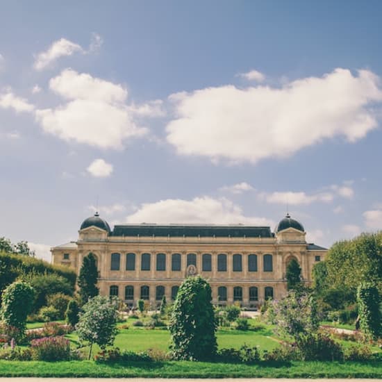 Accès coupe-file à la Grande Galerie de l'Évolution