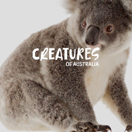 Creatures of Australia