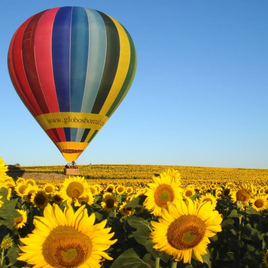 Globos Boreal: ¡vive la inolvidable experiencia de volar en globo! - Foto del evento